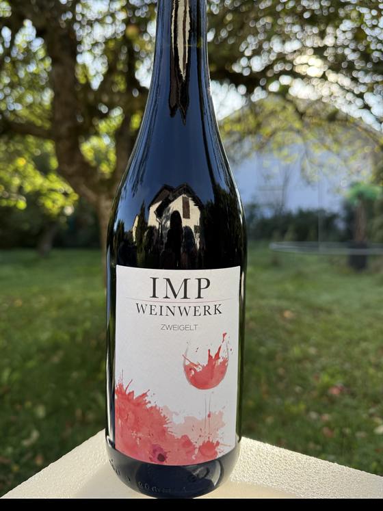 Flasche WEINWERK IMP Zweigelt im Garten